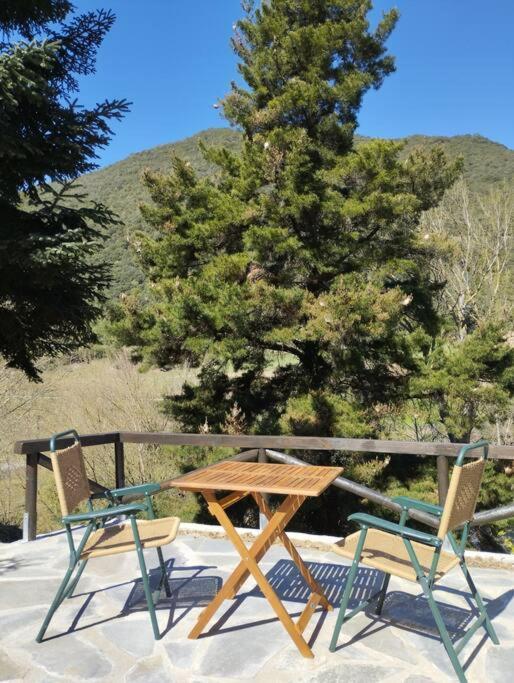 El Nial De Los Pinos Ojedo Exterior foto