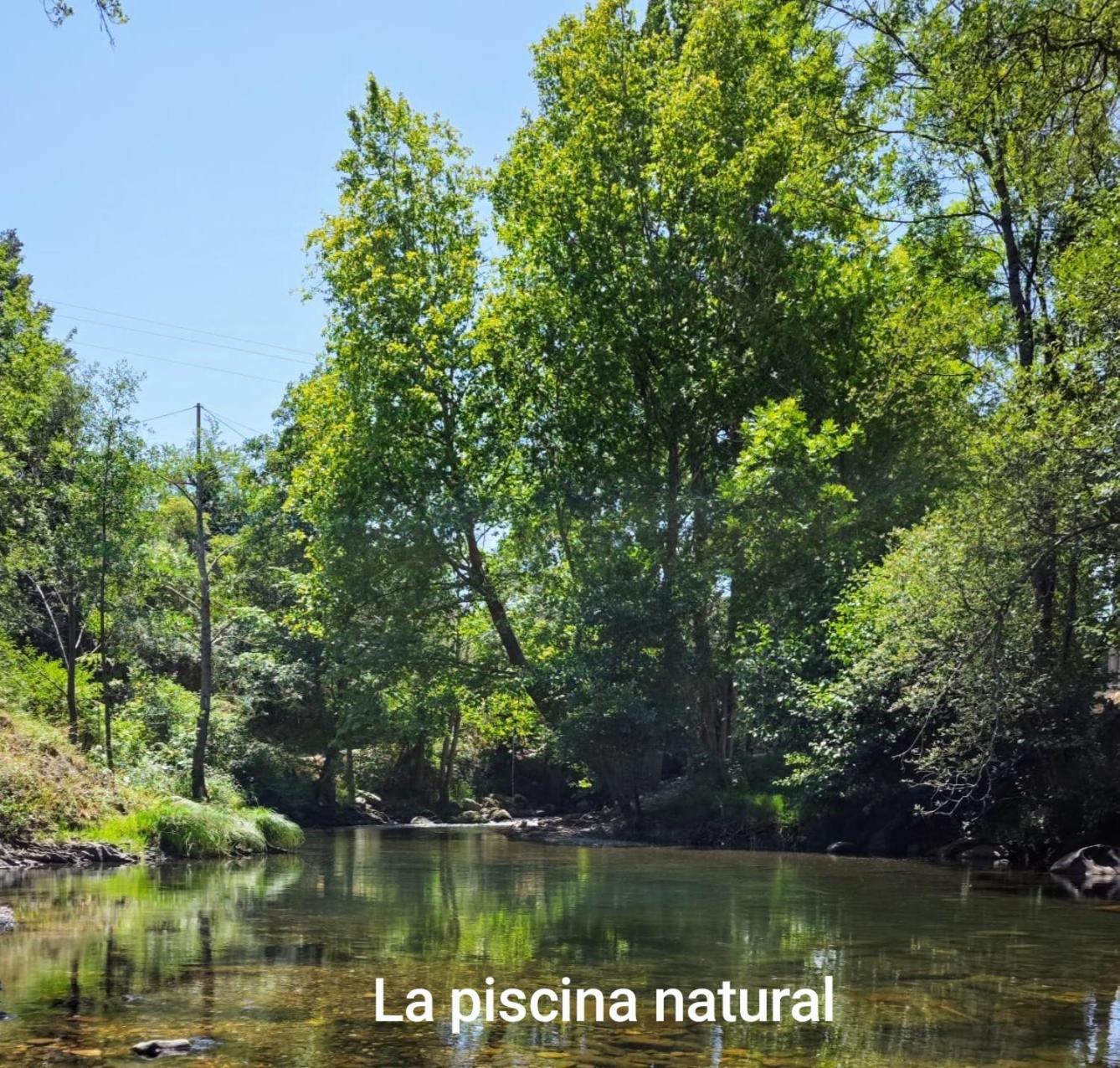 El Nial De Los Pinos Ojedo Exterior foto